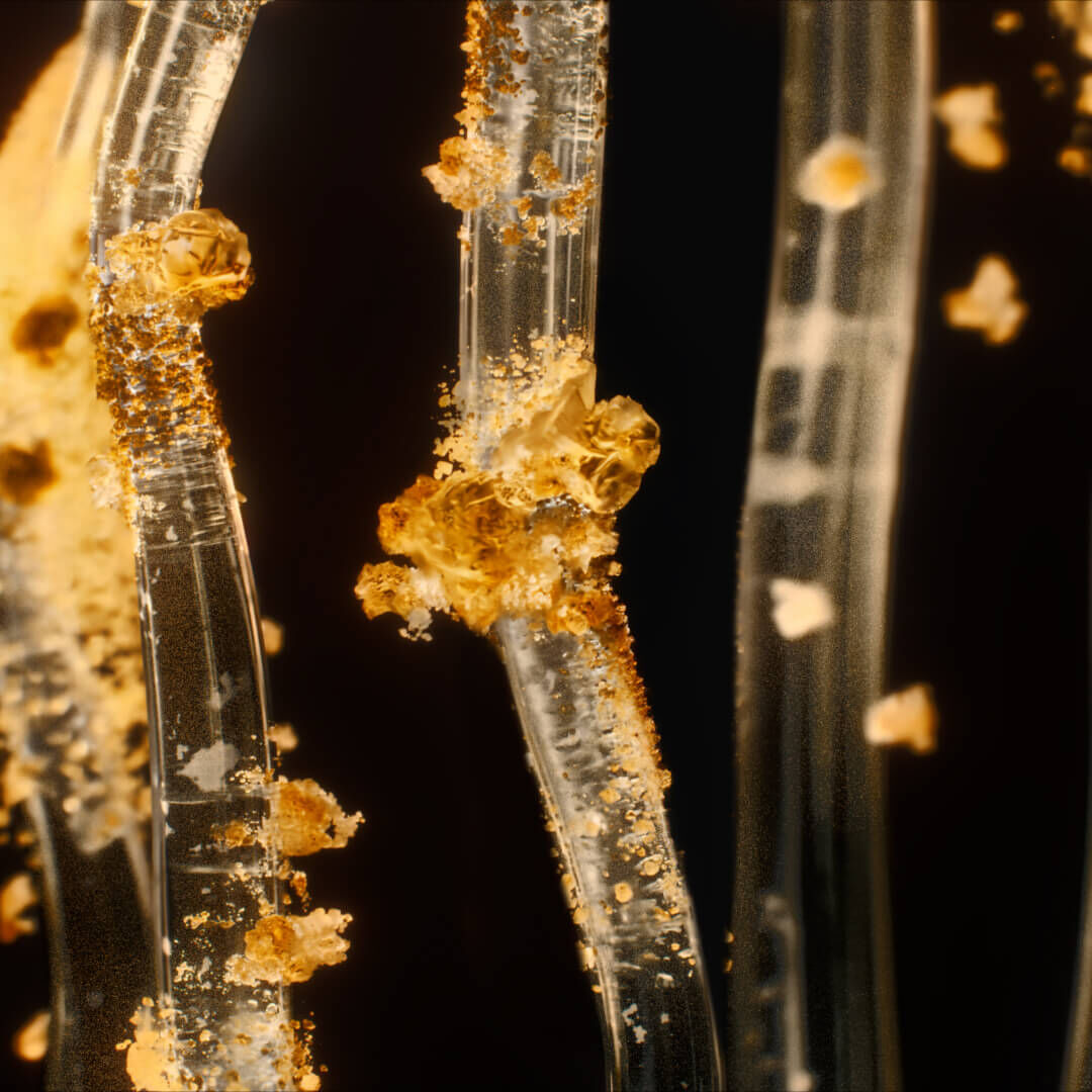 Deciphering Glycation: More than skin caramelization, a triple cellular reality