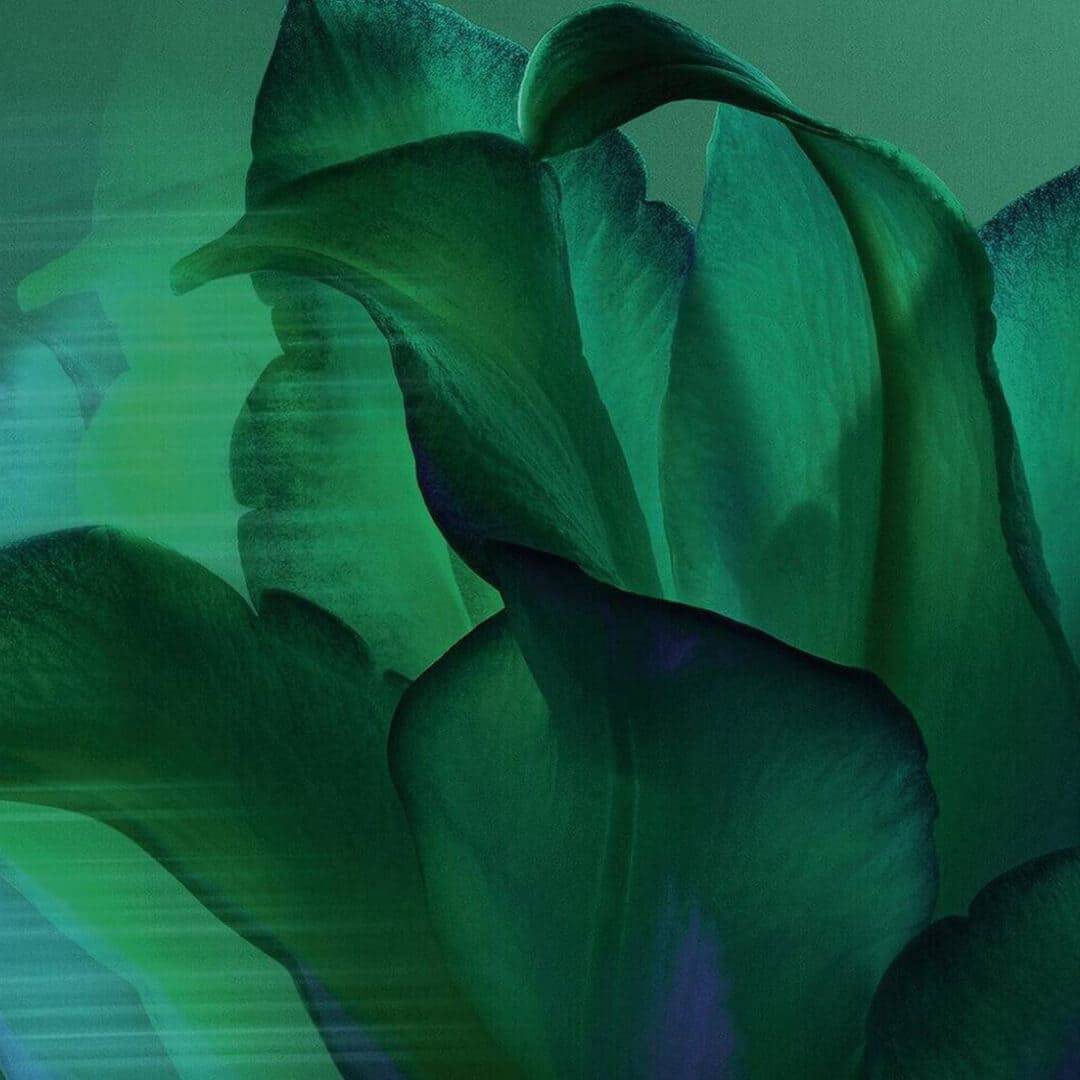 Replasty Age Recovery:  Image