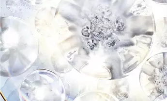 Technology & Science