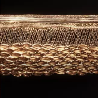 Optimally sized adipocytes support firmer & smoother skin tissues