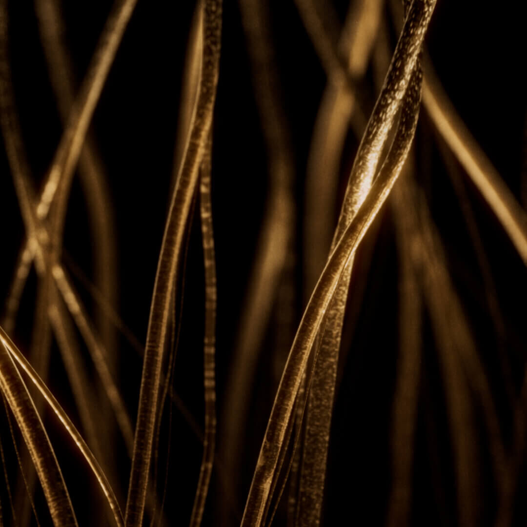 First Image