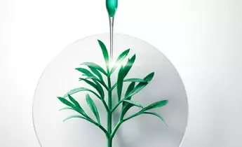 Product Content 1 image