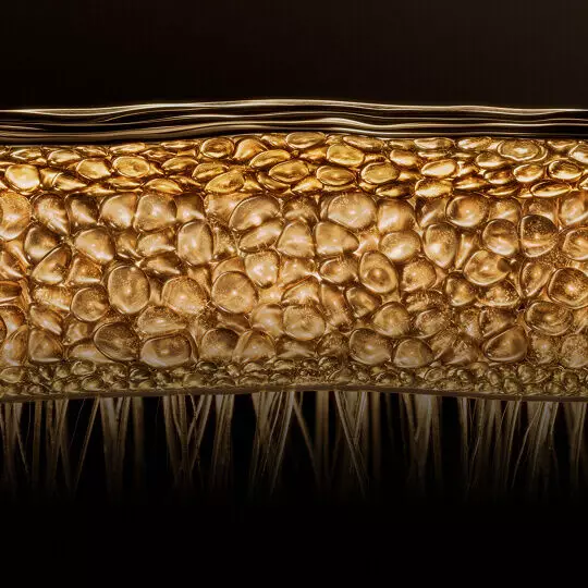 Pro-Xylane™ deep penetration technology creating a protective bandage barrier.