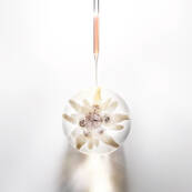 Prodigy Cellglow the Radiant Regenerating Cream