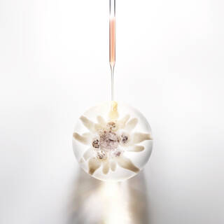 Prodigy Cellglow the Radiant Regenerating Cream